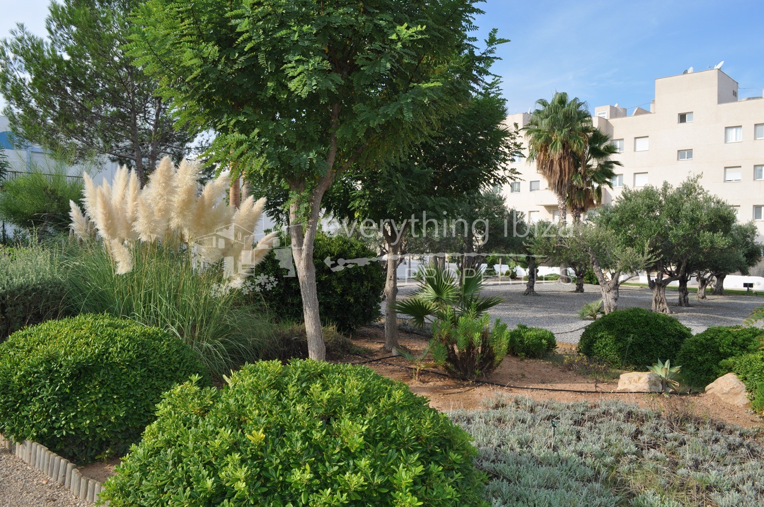Ground floor frontline apartment for sale in Ibiza by everything ibiza properties