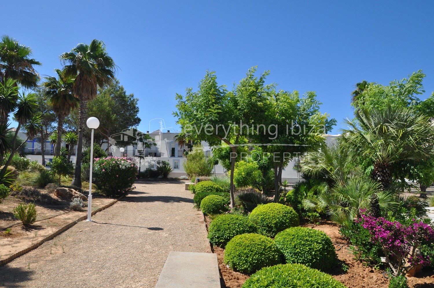 Ground floor frontline apartment for sale in Ibiza by everything ibiza properties