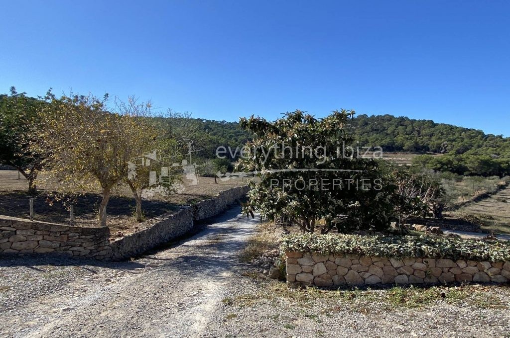 Detached villa & finca, ref. 1280, for sale in Ibiza by everything ibiza Properties