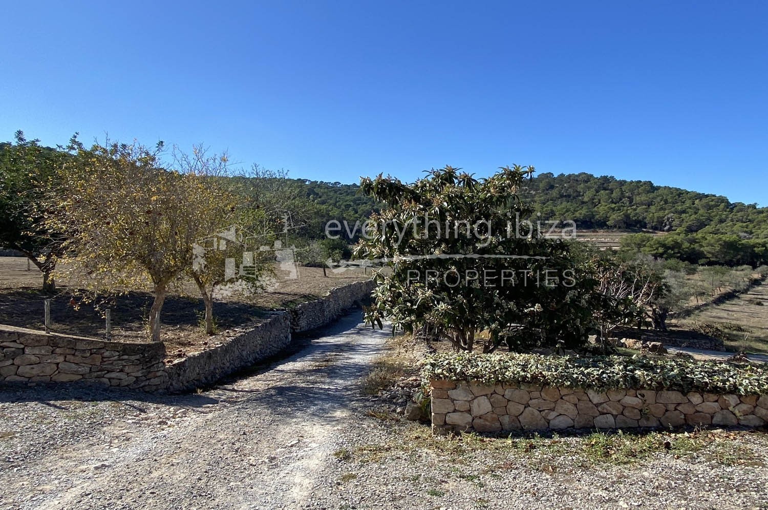 Detached villa & finca, ref. 1280, for sale in Ibiza by everything ibiza Properties