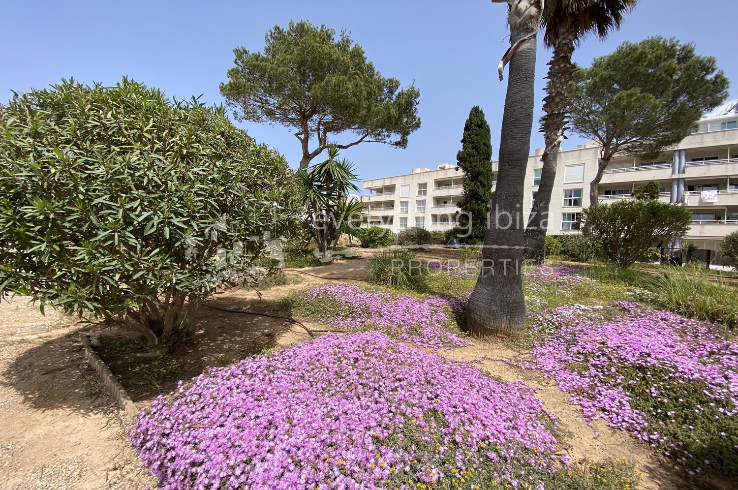 Penthouse apartment close to the sea, ref. 1336, for sale in Ibiza by everything ibiza Properties