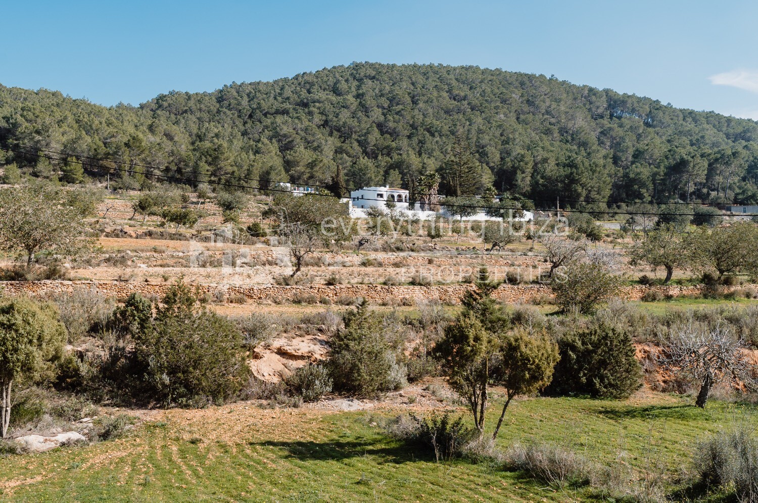 Traditional Villa in the Heart of the Ibiza Countryside, ref. 1406, for sale in Ibiza by everything ibiza Properties