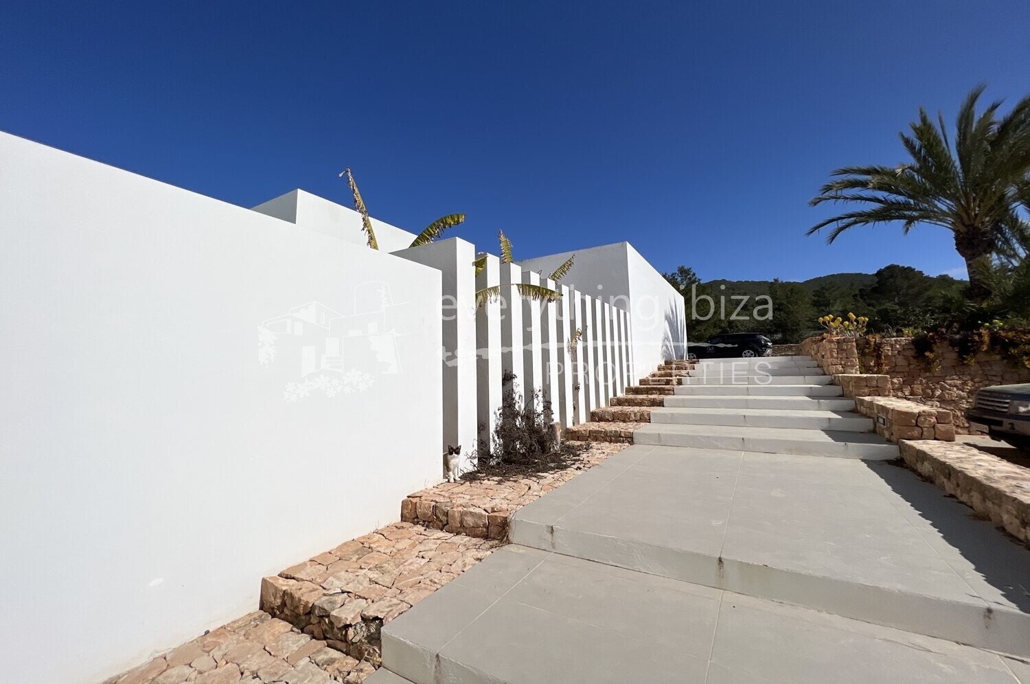 Magnificent Modern Villa Set in Beautiful Countryside, ref. 1423, for sale in Ibiza by everything ibiza Properties