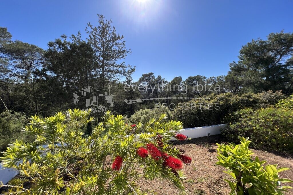 Beautiful Villa with Tourist License in Peaceful Countryside, ref. 1441, for sale in Ibiza by everything ibiza Properties