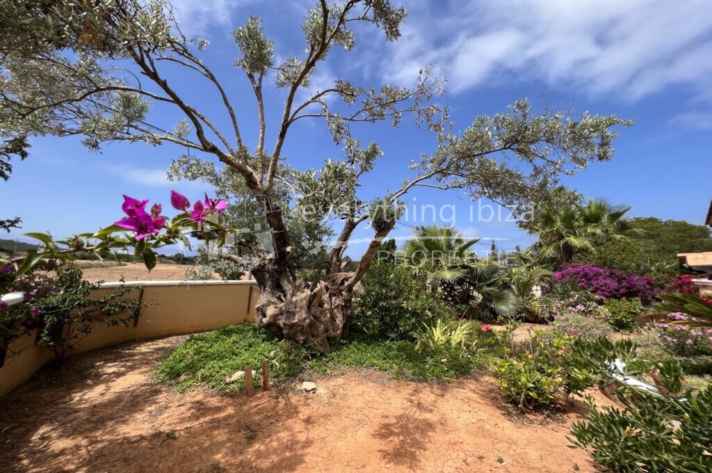 Charming Ground Floor Apartment Close to Beaches, ref. 1459, for sale in Ibiza by everything ibiza Properties