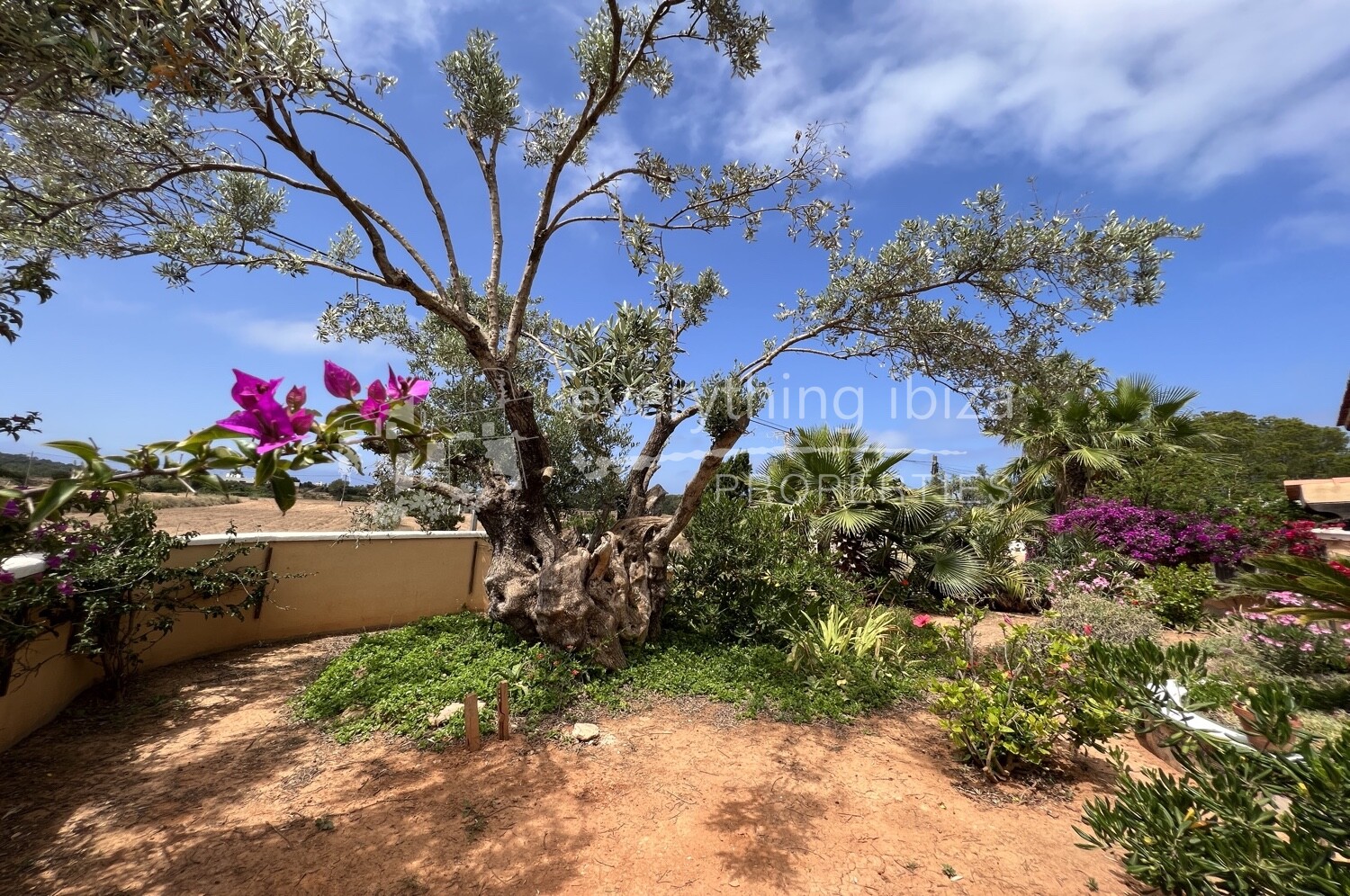 Charming Ground Floor Apartment Close to Beaches, ref. 1459, for sale in Ibiza by everything ibiza Properties
