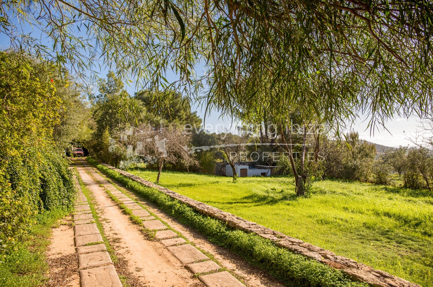 Beautiful Countryside Finca Near Santa Gertrudis, ref. 1485, for sale in Ibiza by everything ibiza Properties