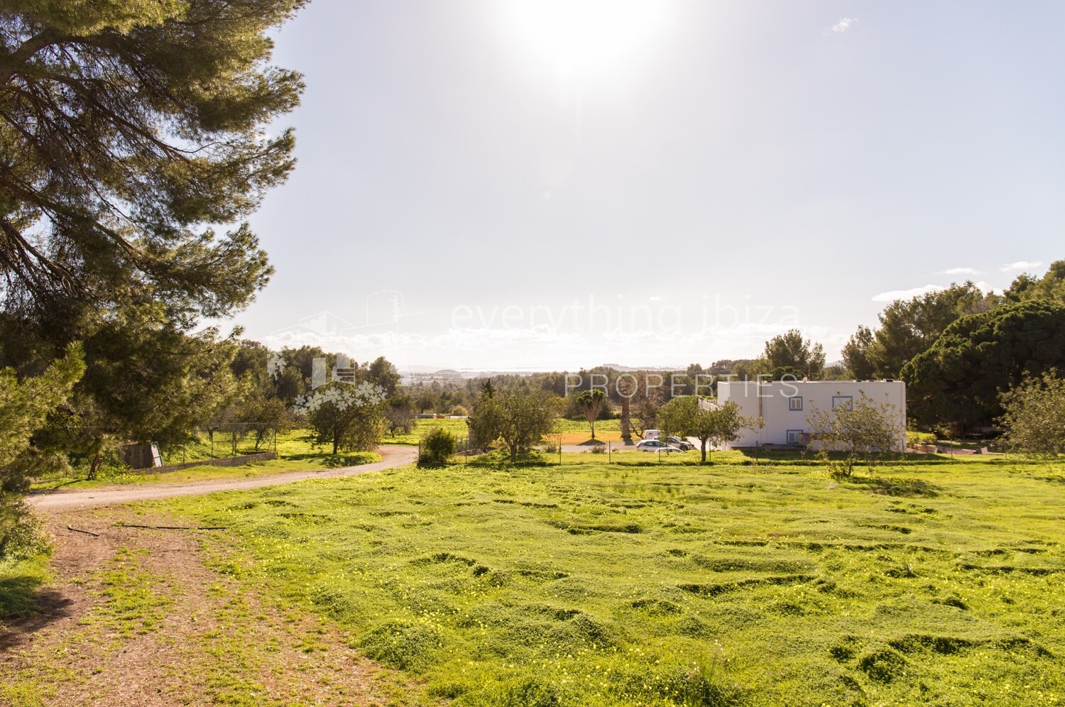 Beautiful Countryside Finca Near Santa Gertrudis, ref. 1485, for sale in Ibiza by everything ibiza Properties