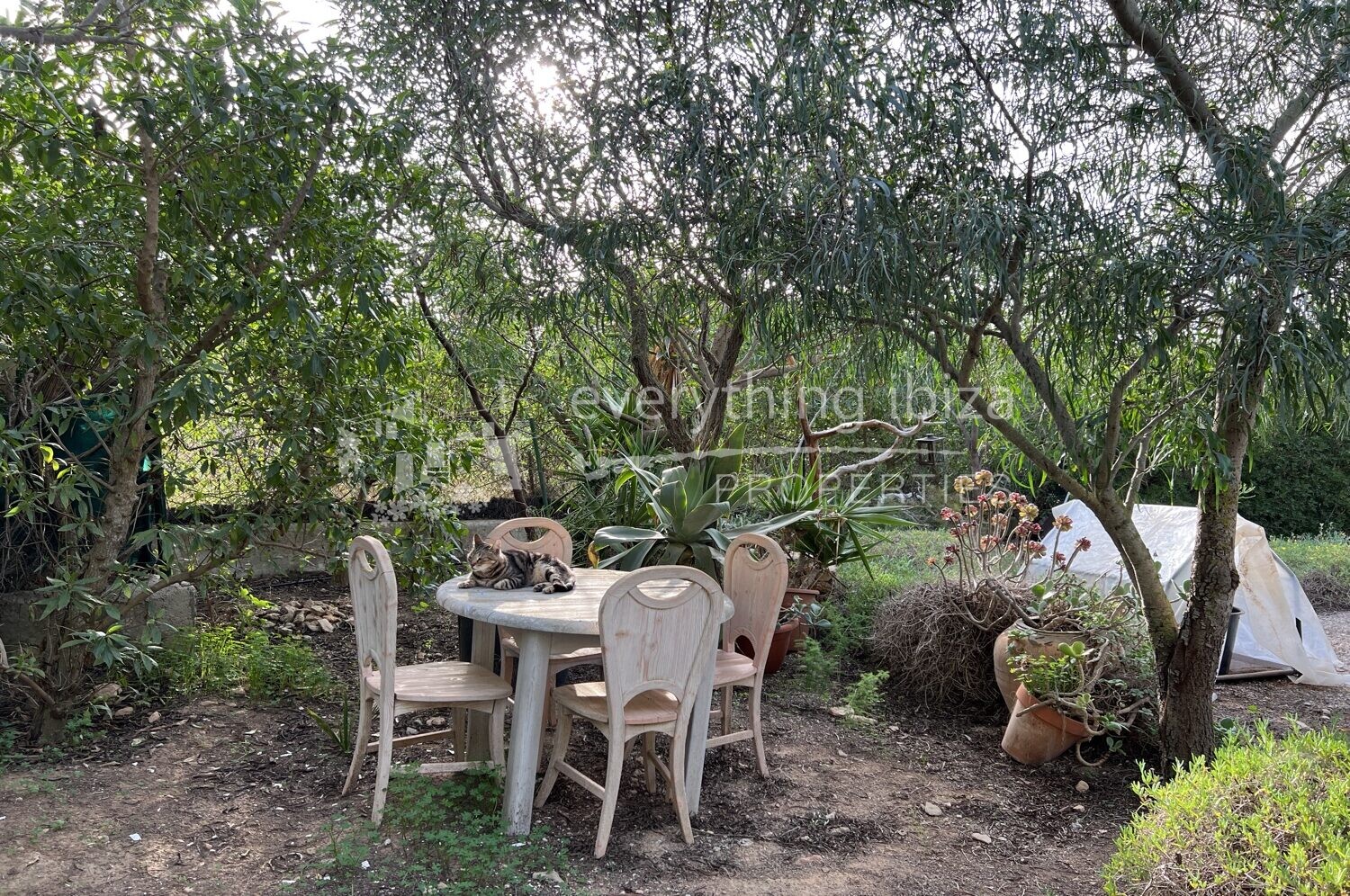Rustic Ibiza Villa Close to the Beach & Ideal for Renovation, ref. 1511, for sale in Ibiza by everything ibiza Properties