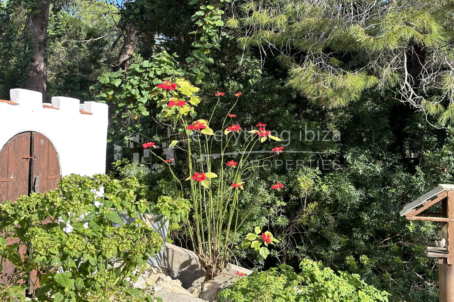 Charming Traditional Villa with Lots of Character in Cala Llonga, ref. 1520, for sale in Ibiza by everything ibiza Properties