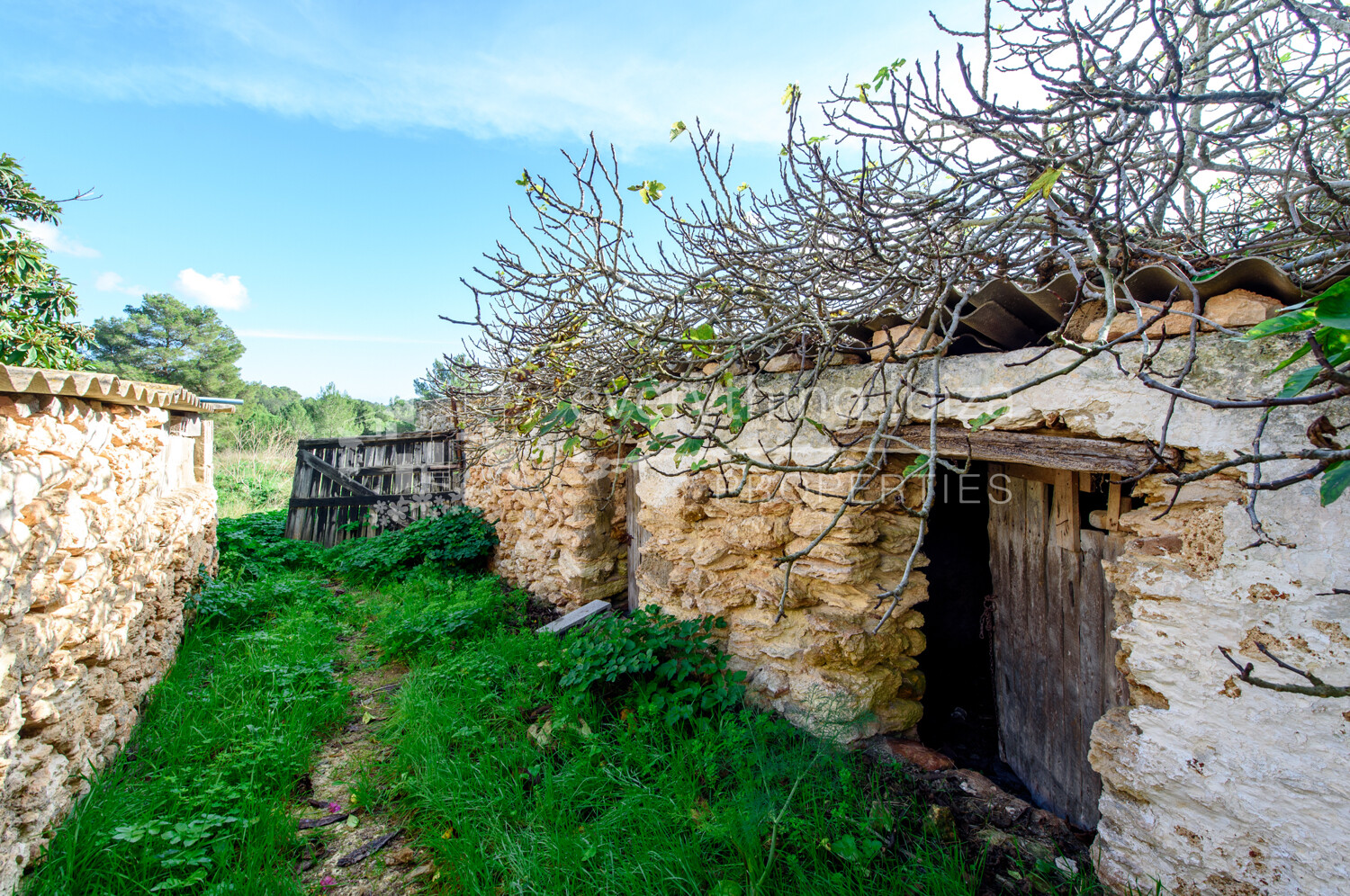 Authentic Ibiza Finca Ideal for Renovation on a Huge Rural Plot, ref. 1525, for sale in Ibiza by everything ibiza Properties