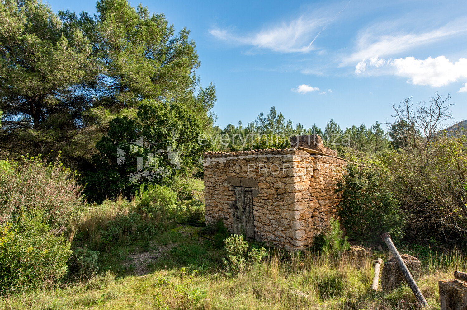 Authentic Ibiza Finca Ideal for Renovation on a Huge Rural Plot, ref. 1525, for sale in Ibiza by everything ibiza Properties