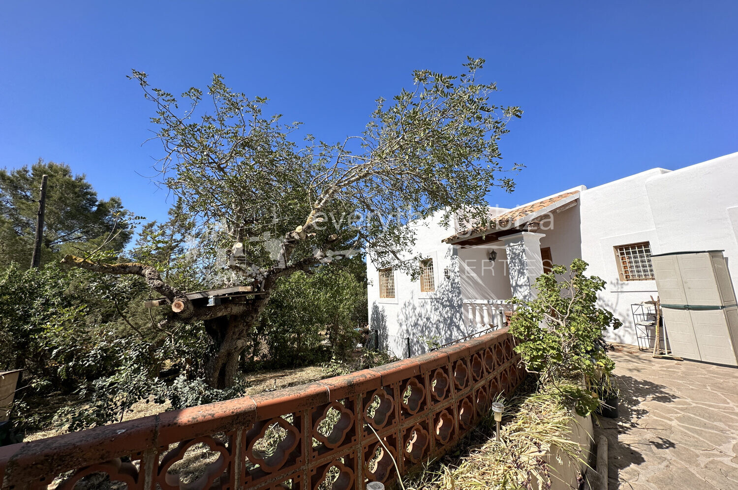 Charming Traditionally Styled Villa Set on a Large Country Plot, ref. 1546, for sale in Ibiza by everything ibiza Properties