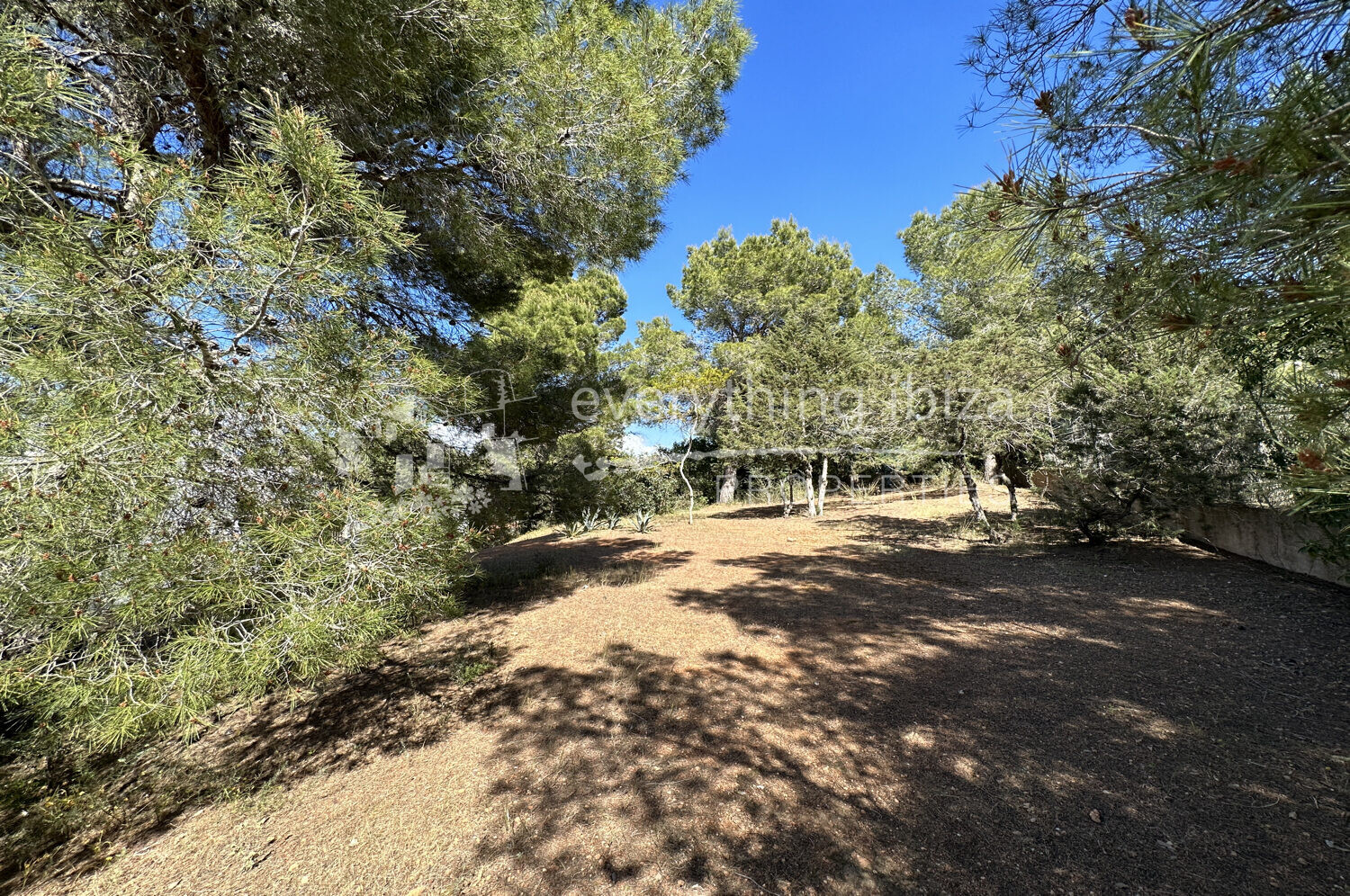 Charming Traditionally Styled Villa Set on a Large Country Plot, ref. 1546, for sale in Ibiza by everything ibiza Properties