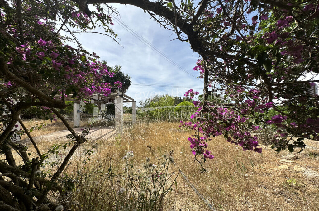 Charming Spacious Ground Floor Apartment with 78m2 Garden, ref. 1558, for sale by everything ibiza Properties