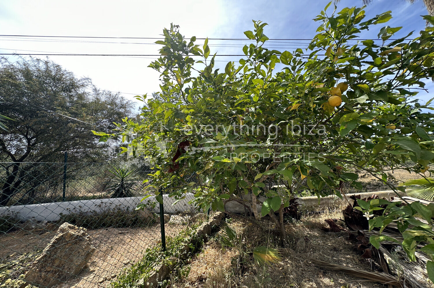 Charming Spacious Ground Floor Apartment with 78m2 Garden, ref. 1558, for sale by everything ibiza Properties