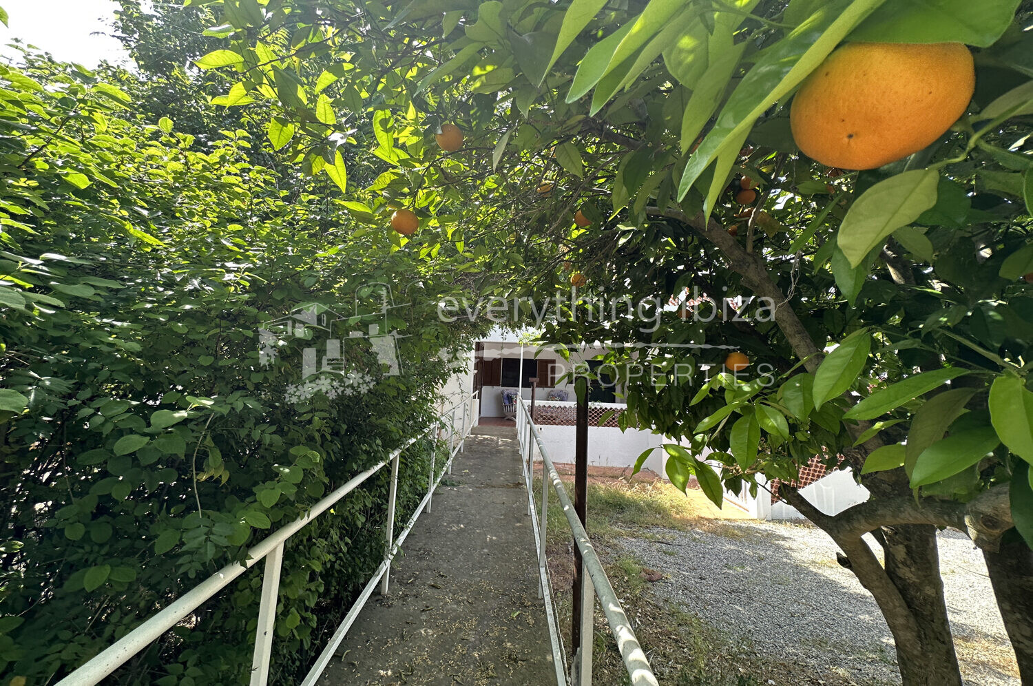 Charming Spacious Ground Floor Apartment with 78m2 Garden, ref. 1558, for sale by everything ibiza Properties
