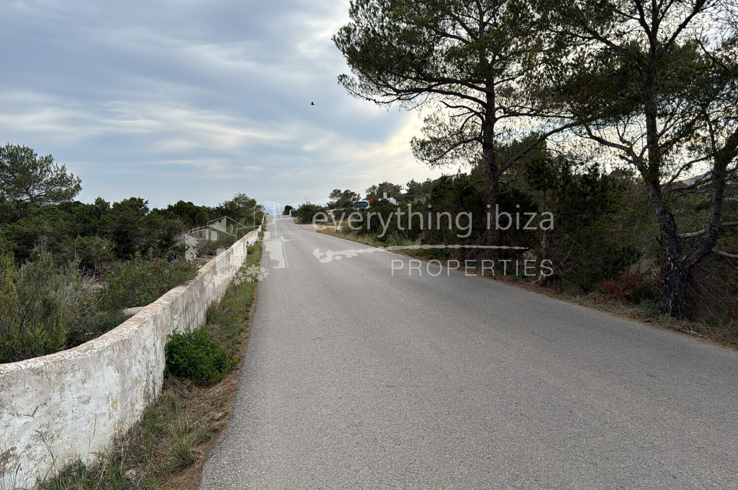Super Large 70.000m2 Plot of Prime Constructable Land Close to Cala Conta, ref. 1699, for sale in Ibiza by everything ibiza Properties