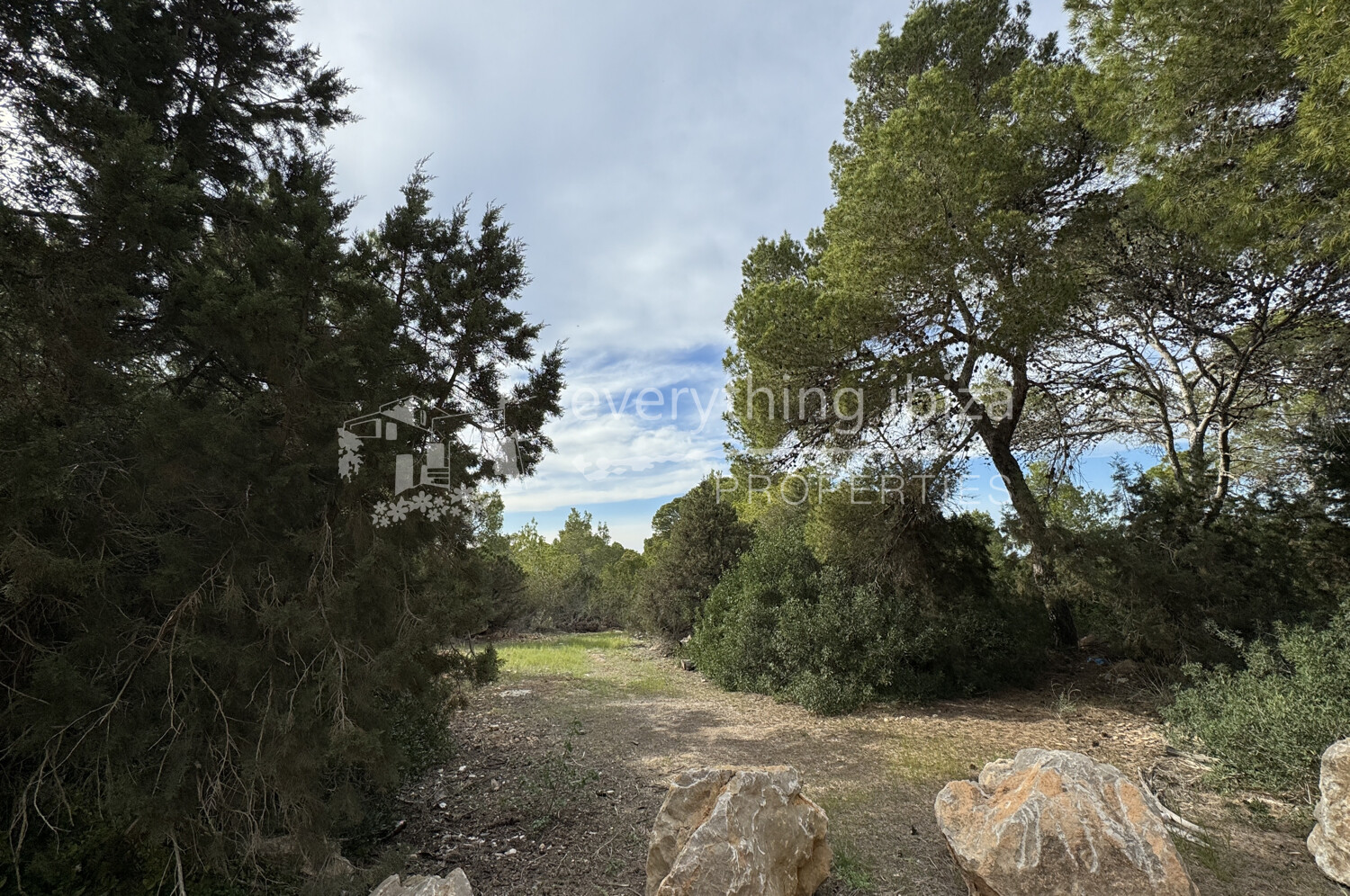 Super Large 70.000m2 Plot of Prime Constructable Land Close to Cala Conta, ref. 1699, for sale in Ibiza by everything ibiza Properties