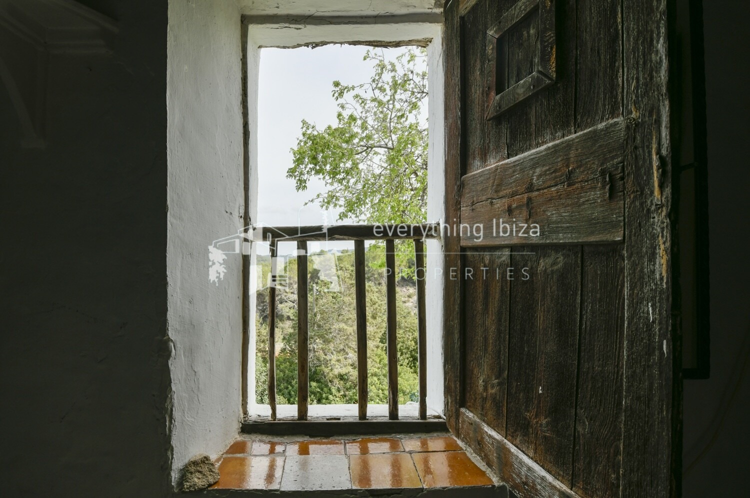 web-1715-new-26