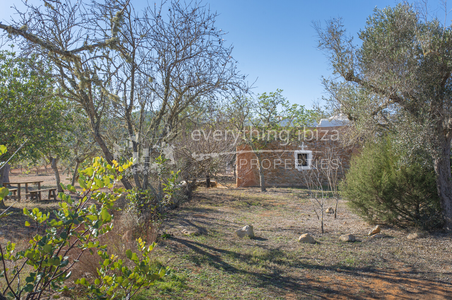 Charming Traditional Finca with Guest Cottage & Pool on a Large Rural Plot, ref. 1735, for sale in Ibiza by everything ibiza Properties