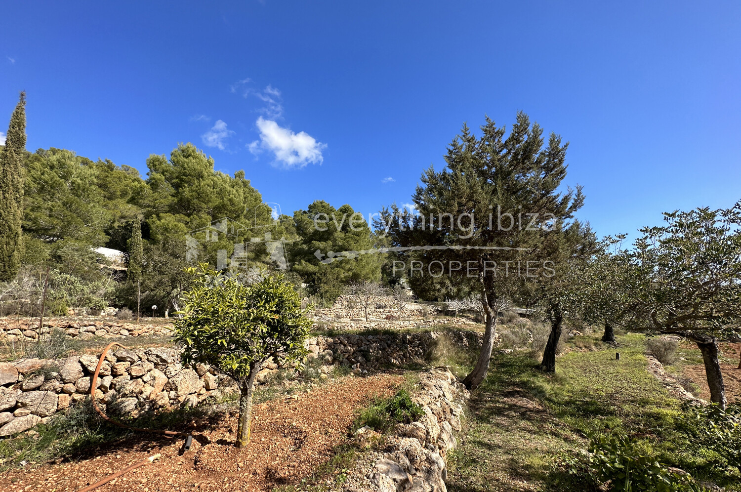 Elegant Traditionally Styled Villa on Large Fertile Plot with Views, ref. 1742, for sale in Ibiza by everything ibiza Properties