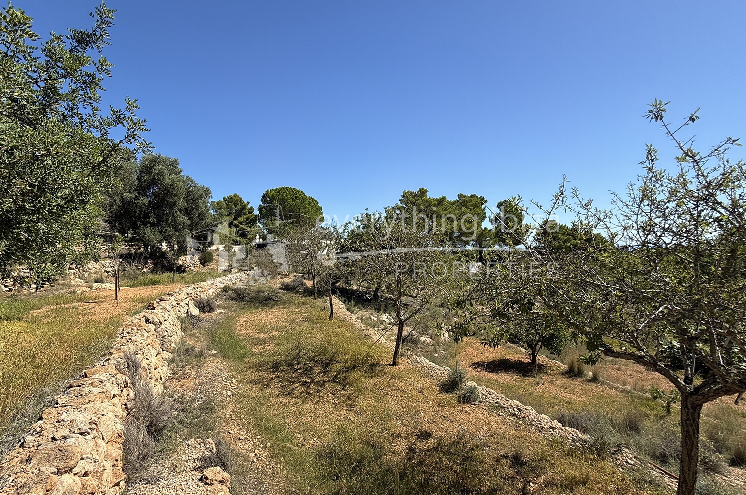 Elegant Traditionally Styled Villa on Large Fertile Plot with Views, ref. 1742, for sale in Ibiza by everything ibiza Properties