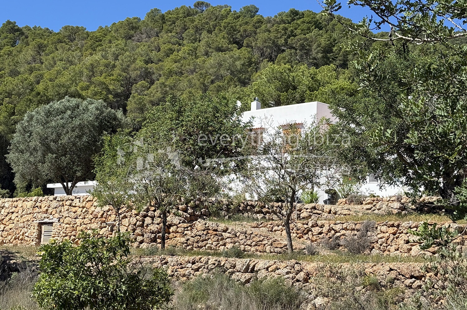 Elegant Traditionally Styled Villa on Large Fertile Plot with Views, ref. 1742, for sale in Ibiza by everything ibiza Properties