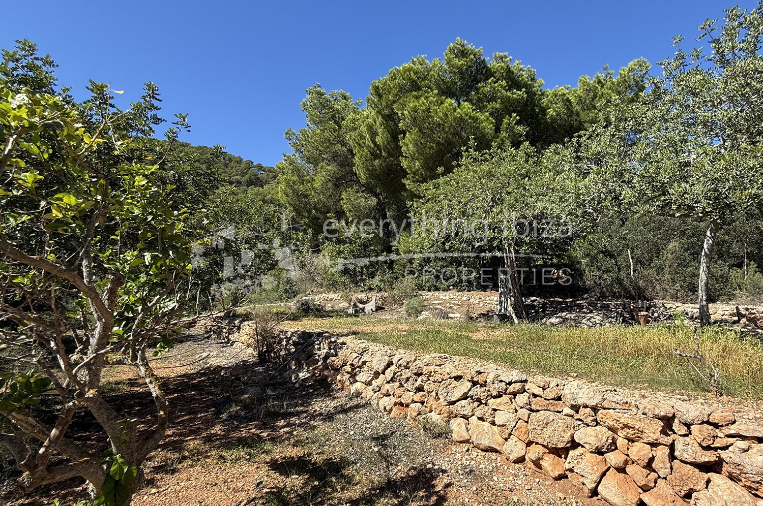 Elegant Traditionally Styled Villa on Large Fertile Plot with Views, ref. 1742, for sale in Ibiza by everything ibiza Properties