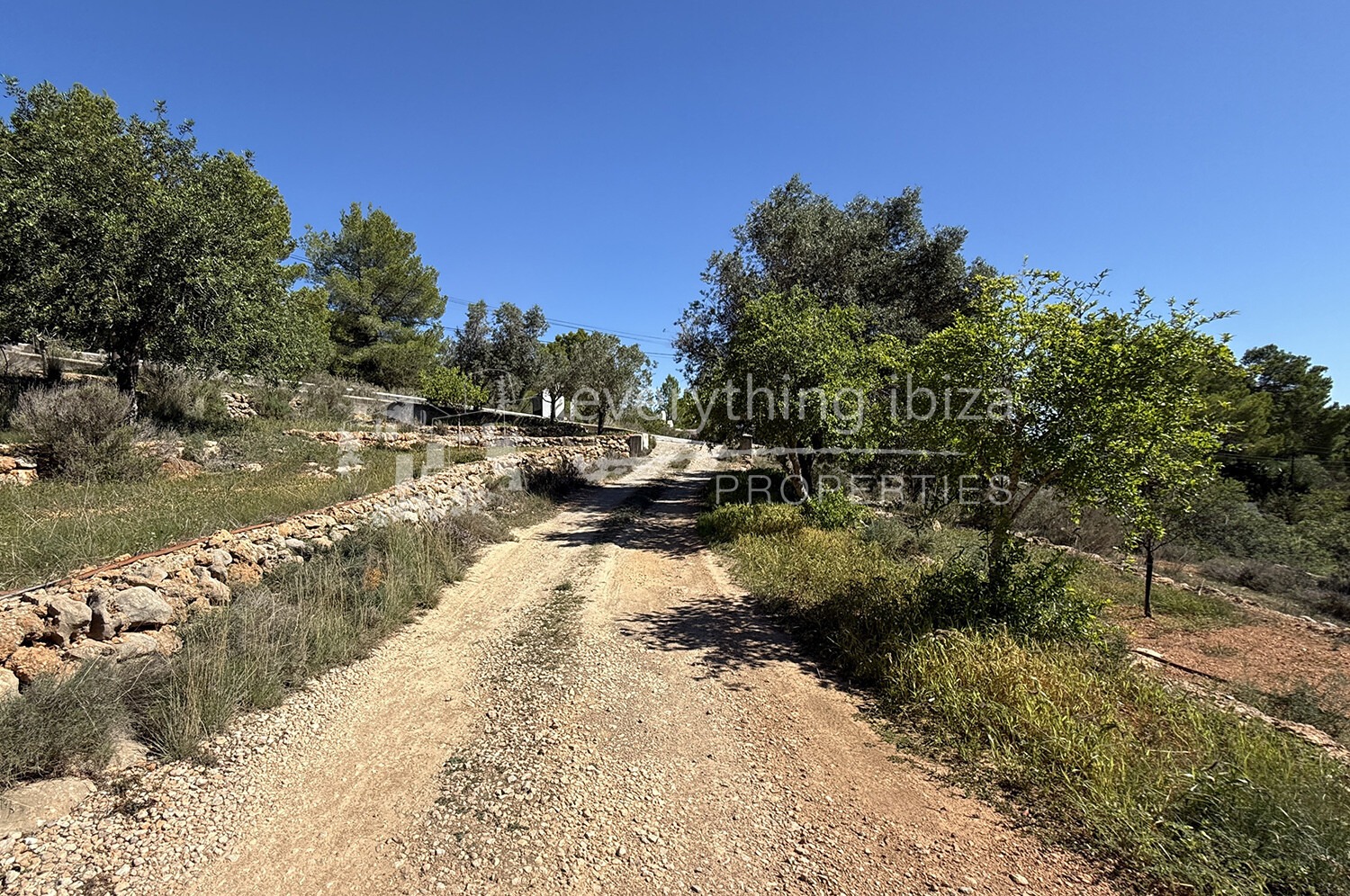 Elegant Traditionally Styled Villa on Large Fertile Plot with Views, ref. 1742, for sale in Ibiza by everything ibiza Properties