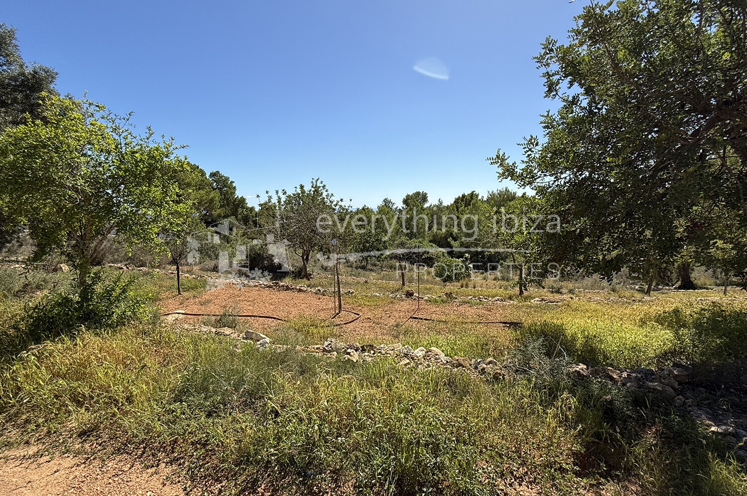 Elegant Traditionally Styled Villa on Large Fertile Plot with Views, ref. 1742, for sale in Ibiza by everything ibiza Properties