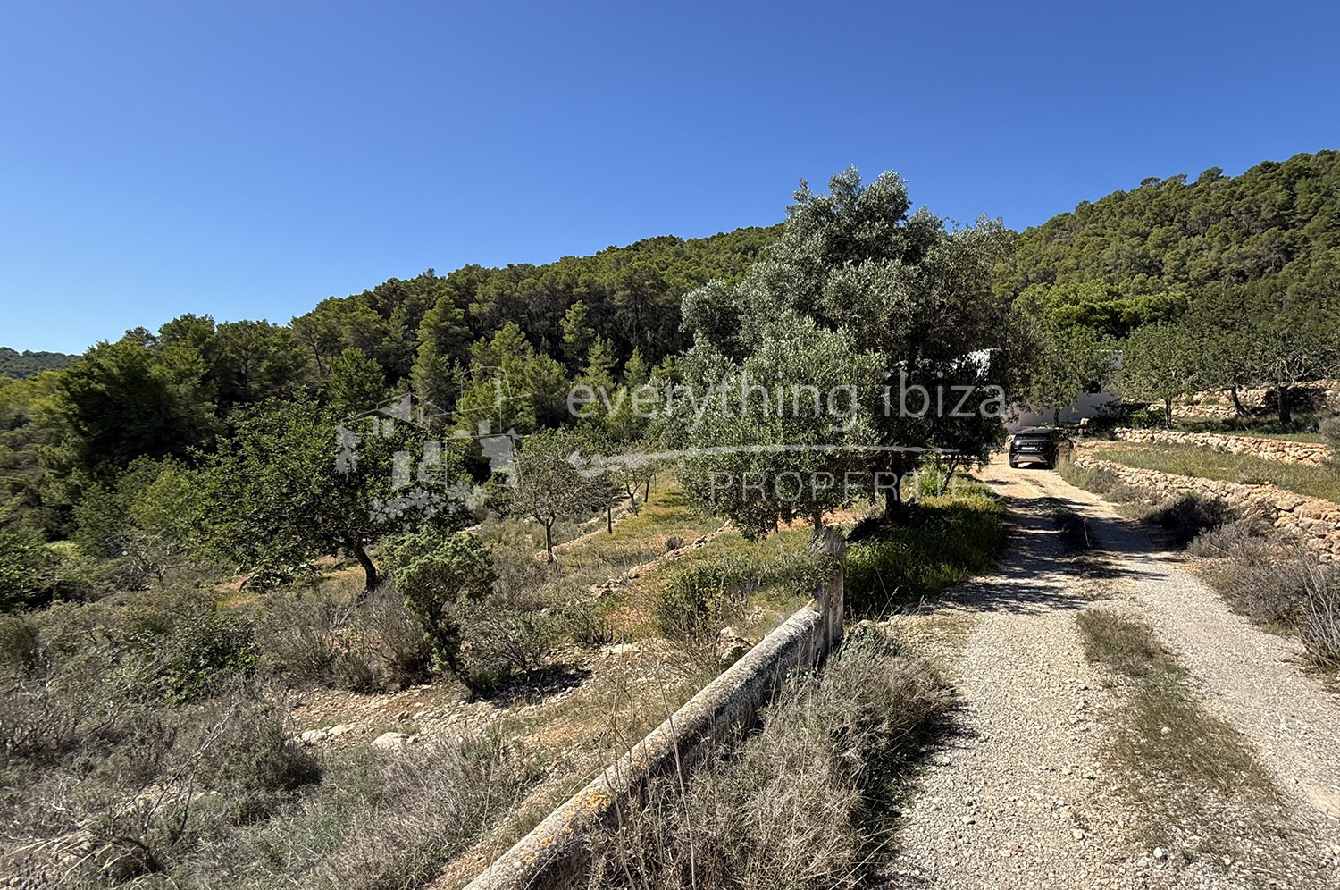 Elegant Traditionally Styled Villa on Large Fertile Plot with Views, ref. 1742, for sale in Ibiza by everything ibiza Properties