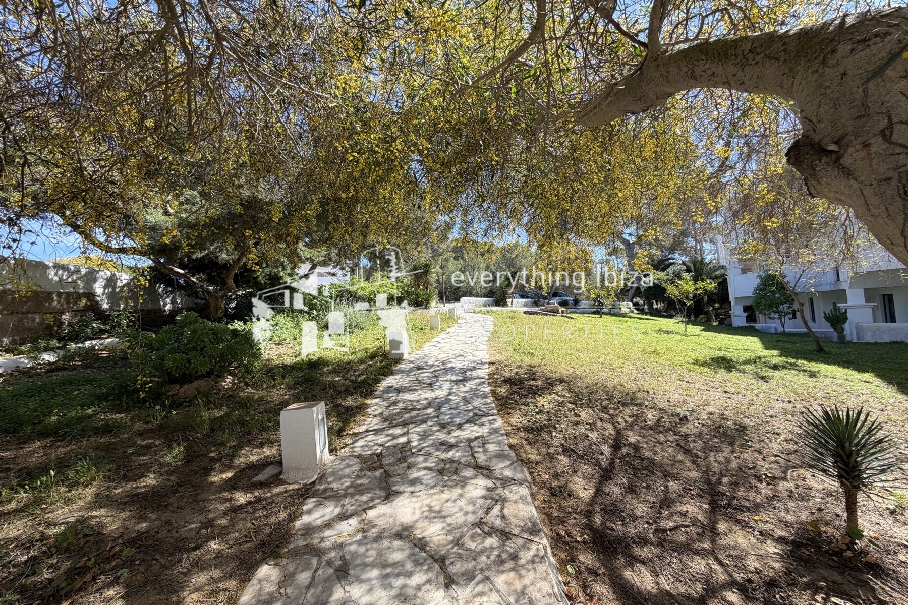 Charming Penthouse Apartment with Rooftop Splash Pool, Sea and Sunset Views - for sale by everything ibiza Properties - ref. 1890